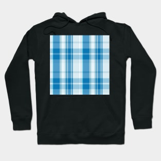 Winter Aesthetic Conall 2 Hand Drawn Textured Plaid Pattern Hoodie